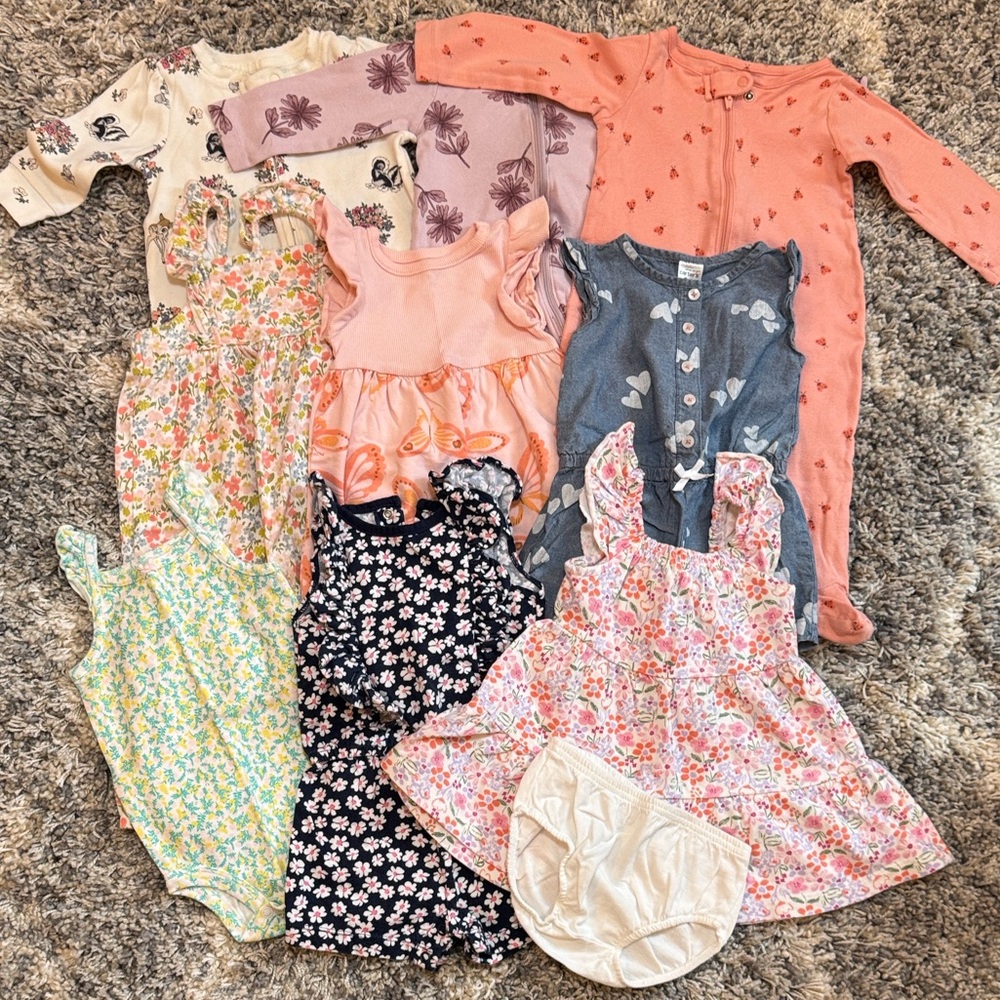 Lot of Baby Girl Clothes (9M)